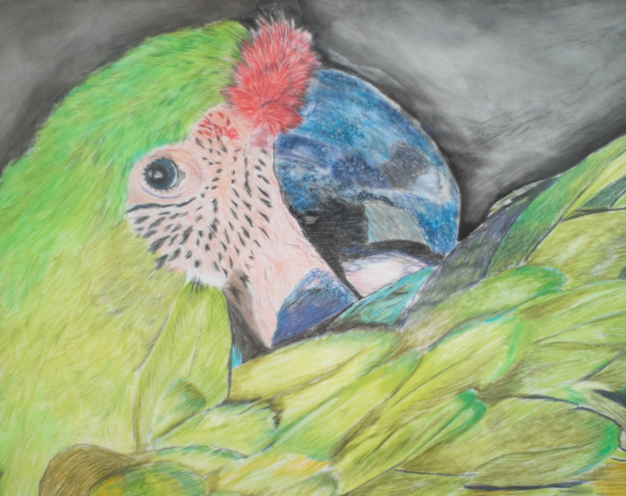 Masterful Drawing: Charcoal and Colored Pencils - Sage Oak Charter Schools